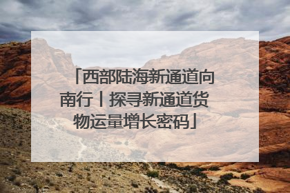 西部陆海新通道向南行丨探寻新通道货物运量增长密码