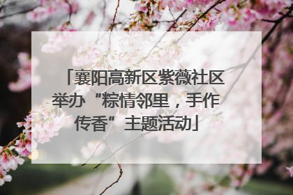 襄阳高新区紫薇社区举办“粽情邻里，手作传香”主题活动