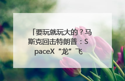 要玩就玩大的？马斯克回击特朗普：SpaceX“龙”飞船将立即退役！