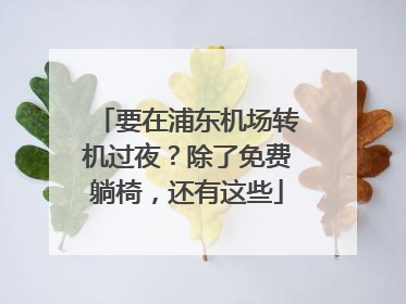 要在浦东机场转机过夜？除了免费躺椅，还有这些
