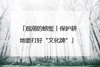 观潮的螃蟹丨保护耕地要打好“文化牌”