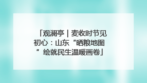 观澜亭｜麦收时节见初心：山东“晒粮地图”绘就民生温暖画卷