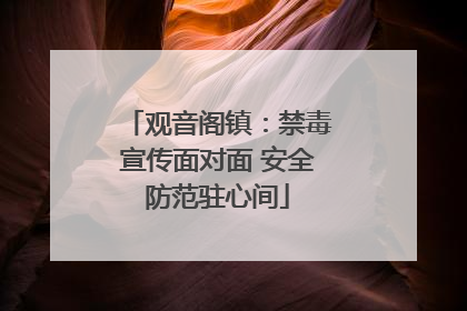 观音阁镇：禁毒宣传面对面 安全防范驻心间