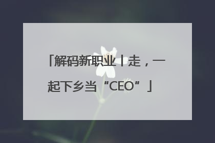 解码新职业丨走，一起下乡当“CEO”