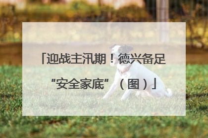 迎战主汛期！德兴备足“安全家底”（图）