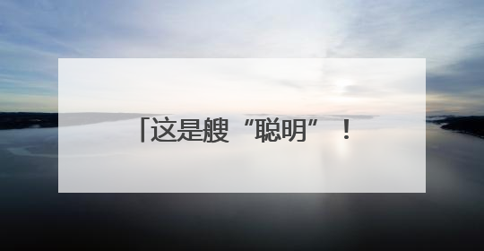 这是艘“聪明”！船“新红专”轮在洋浦港举办开放活动