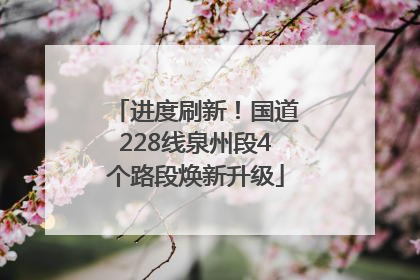 进度刷新！国道228线泉州段4个路段焕新升级