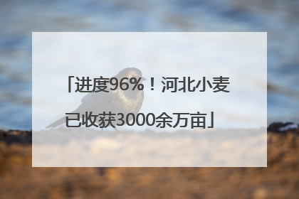 进度96%！河北小麦已收获3000余万亩