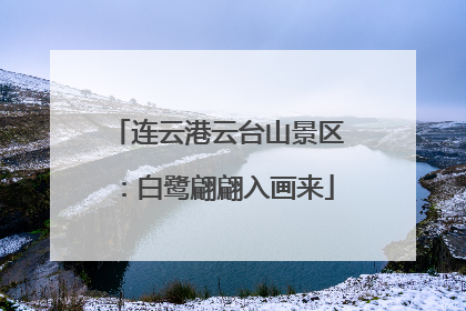 连云港云台山景区：白鹭翩翩入画来