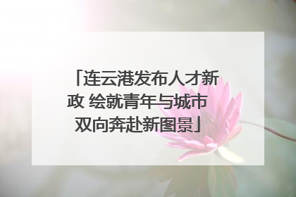 连云港发布人才新政 绘就青年与城市双向奔赴新图景