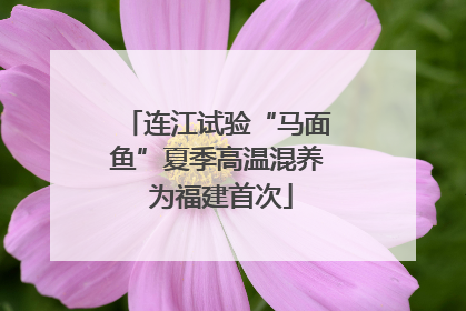 连江试验“马面鱼”夏季高温混养 为福建首次