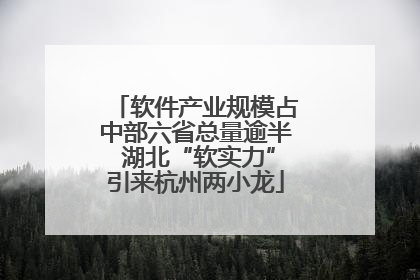 软件产业规模占中部六省总量逾半 湖北“软实力”引来杭州两小龙