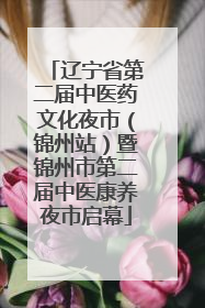 辽宁省第二届中医药文化夜市（锦州站）暨锦州市第二届中医康养夜市启幕