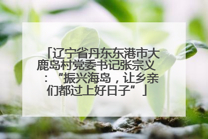 辽宁省丹东东港市大鹿岛村党委书记张宗义：“振兴海岛，让乡亲们都过上好日子”