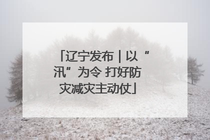 辽宁发布｜以“汛”为令 打好防灾减灾主动仗
