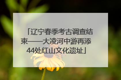 辽宁春季考古调查结束——大凌河中游再添44处红山文化遗址