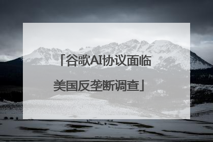 谷歌AI协议面临美国反垄断调查