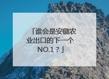 谁会是安徽农业出口的下一个NO.1？