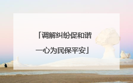 调解纠纷促和谐 一心为民保平安