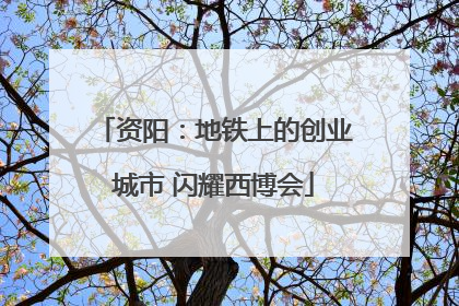 资阳：地铁上的创业城市 闪耀西博会