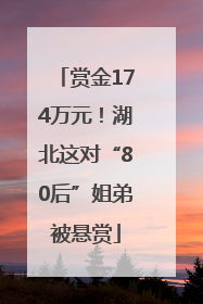 赏金174万元！湖北这对“80后”姐弟被悬赏