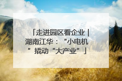 走进园区看企业｜湖南江华：“小电机”撬动“大产业”