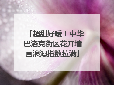 超甜好暖！中华巴洛克街区花卉墙画浪漫指数拉满
