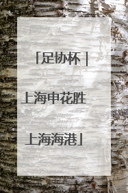 足协杯｜上海申花胜上海海港