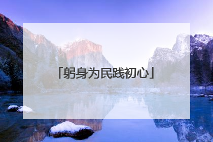 躬身为民践初心