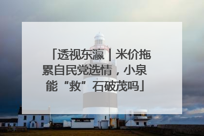 透视东瀛｜米价拖累自民党选情，小泉能“救”石破茂吗