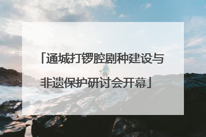 通城打锣腔剧种建设与非遗保护研讨会开幕