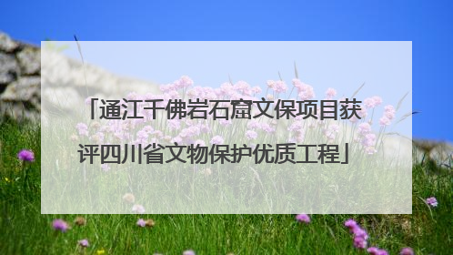通江千佛岩石窟文保项目获评四川省文物保护优质工程
