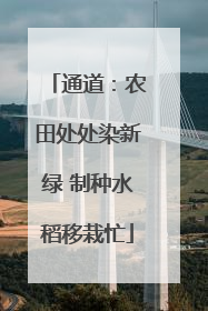 通道：农田处处染新绿 制种水稻移栽忙