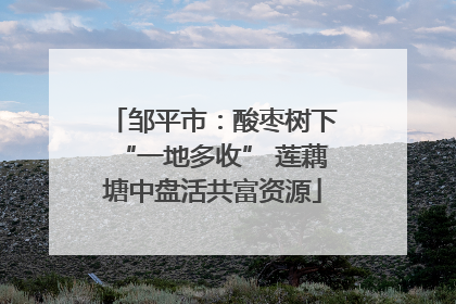 邹平市：酸枣树下“一地多收” 莲藕塘中盘活共富资源