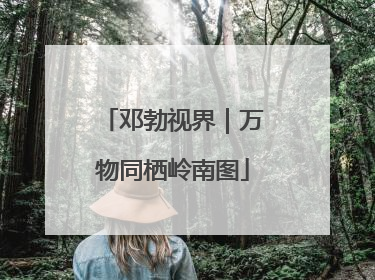 邓勃视界｜万物同栖岭南图