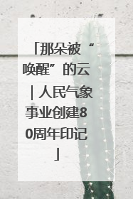 那朵被“唤醒”的云｜人民气象事业创建80周年印记
