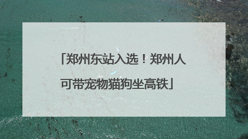 郑州东站入选！郑州人可带宠物猫狗坐高铁