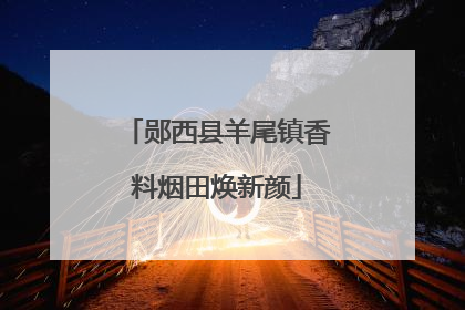 郧西县羊尾镇香料烟田焕新颜