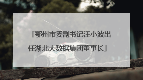 鄂州市委副书记汪小波出任湖北大数据集团董事长