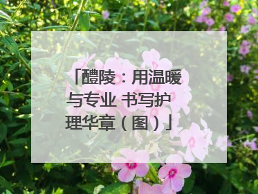 醴陵：用温暖与专业 书写护理华章（图）