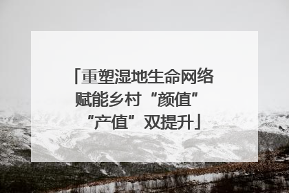 重塑湿地生命网络 赋能乡村“颜值”“产值”双提升
