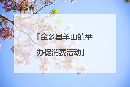 金乡县羊山镇举办促消费活动