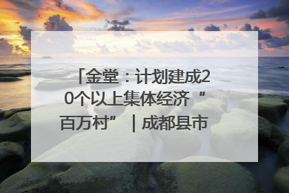金堂：计划建成20个以上集体经济“百万村”｜成都县市新城高质量发展