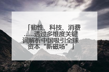 韧性、科技、消费……透过多维度关键词解析中国吸引全球资本“新磁场”