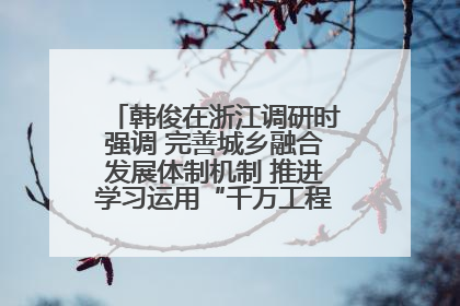 韩俊在浙江调研时强调 完善城乡融合发展体制机制 推进学习运用“千万工程”经验走深走实