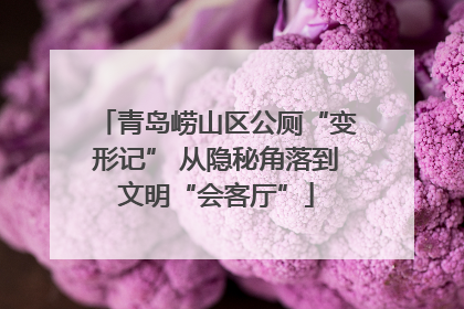 青岛崂山区公厕“变形记” 从隐秘角落到文明“会客厅”