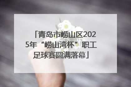青岛市崂山区2025年“崂山湾杯”职工足球赛圆满落幕