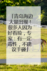 青岛海边大量出现！很多人因为好看捡，专家：有一定毒性，不建议手碰