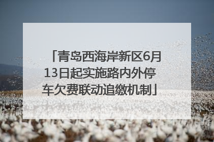 青岛西海岸新区6月13日起实施路内外停车欠费联动追缴机制