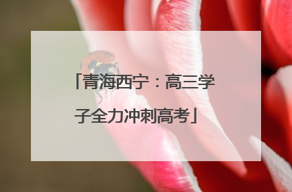 青海西宁：高三学子全力冲刺高考